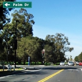CLICK to go LEFT on Palm Drive from Arboretum