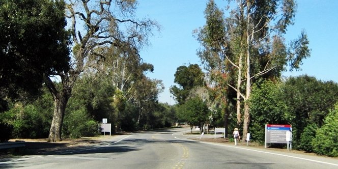 CLICK to continue: Campus Loop