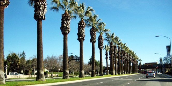 CLICK to continue: Continue past Children's Discovery Museum