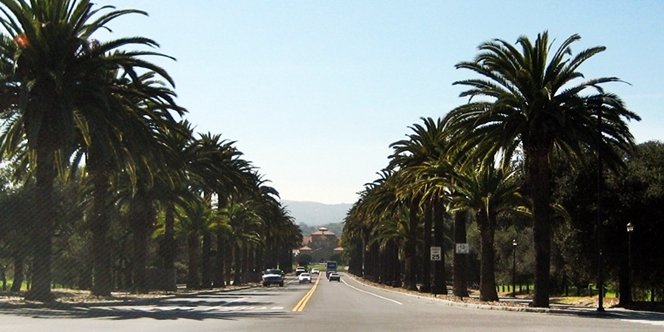 CLICK to continue: Palm Drive