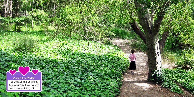 CLICK to continue: Sofia walking down beack trail