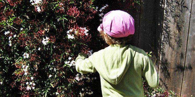 CLICK to continue: Sofia picking flowers