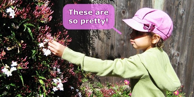 CLICK to continue: These are so pretty!  Picking flowers