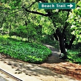 CLICK to go RIGHT on Beach Trail from Sumner Drive